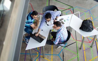 Understanding Your Profit and Loss Statement