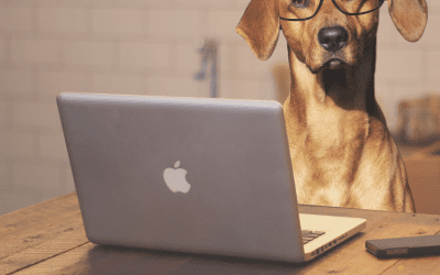 The Crucial Role of Bookkeeping in Business: Why Qualifications Matter